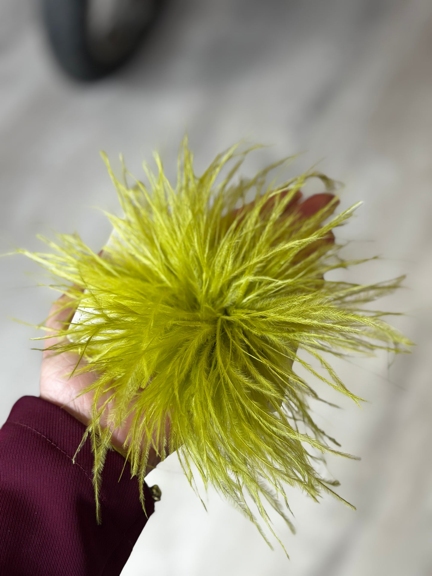 SPILLA PLUMA