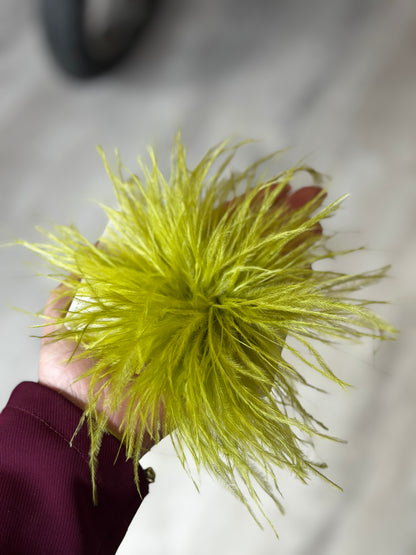 SPILLA PLUMA