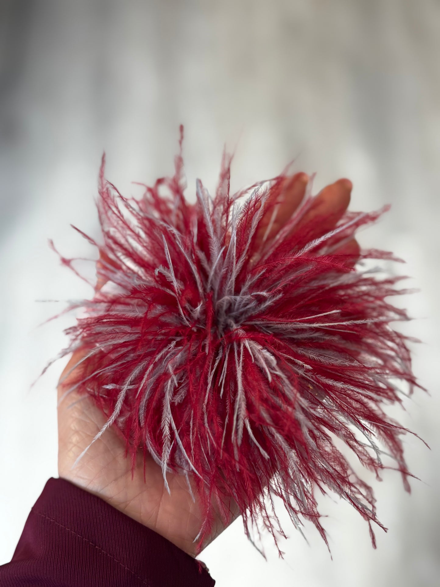 SPILLA PLUMA
