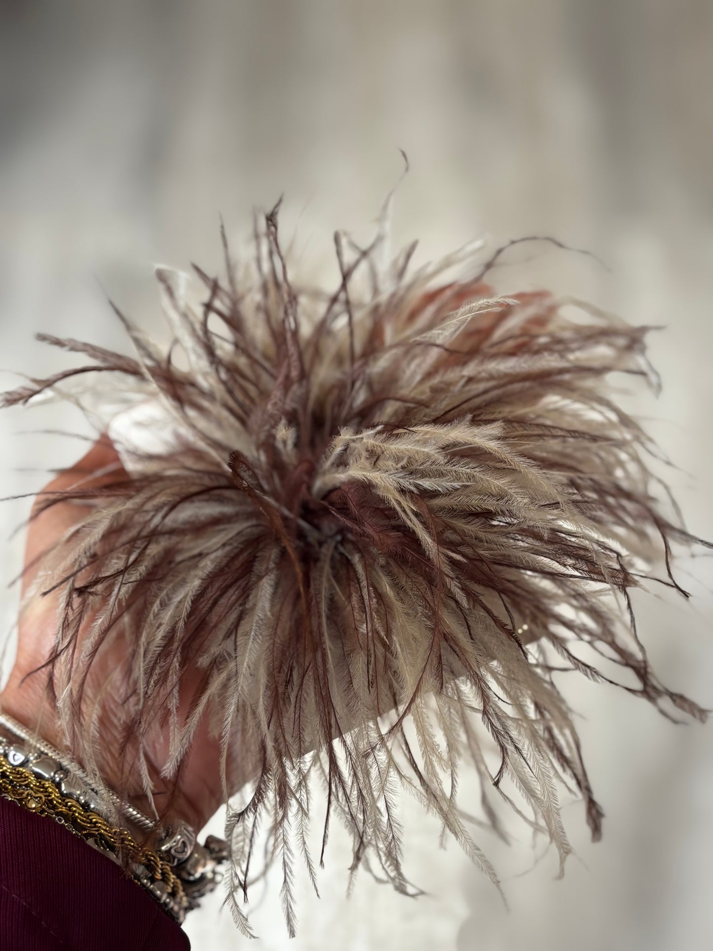 SPILLA PLUMA