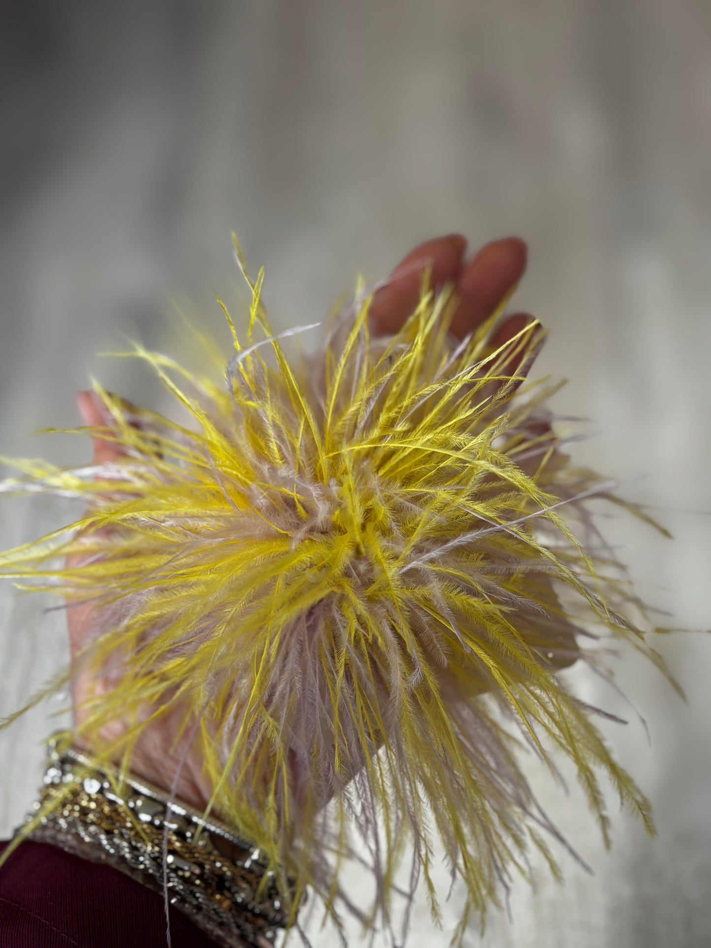 SPILLA PLUMA