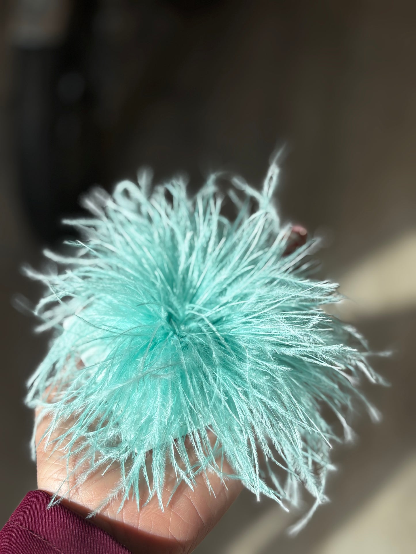 SPILLA PLUMA