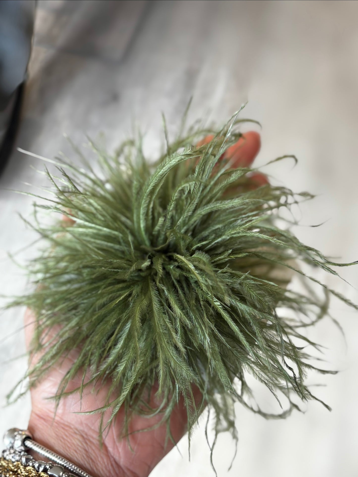 SPILLA PLUMA