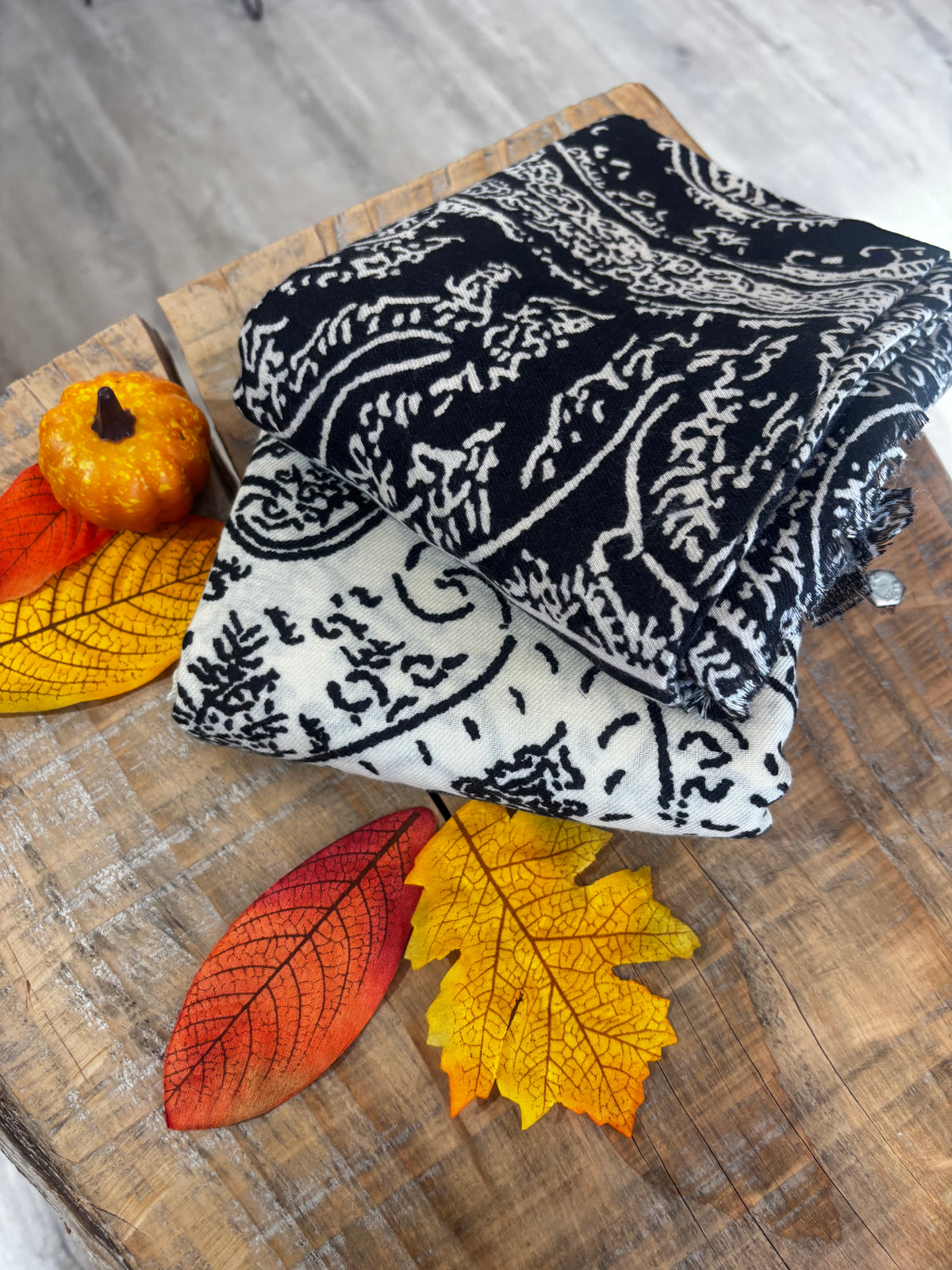 Pashmina ILLINOIS
