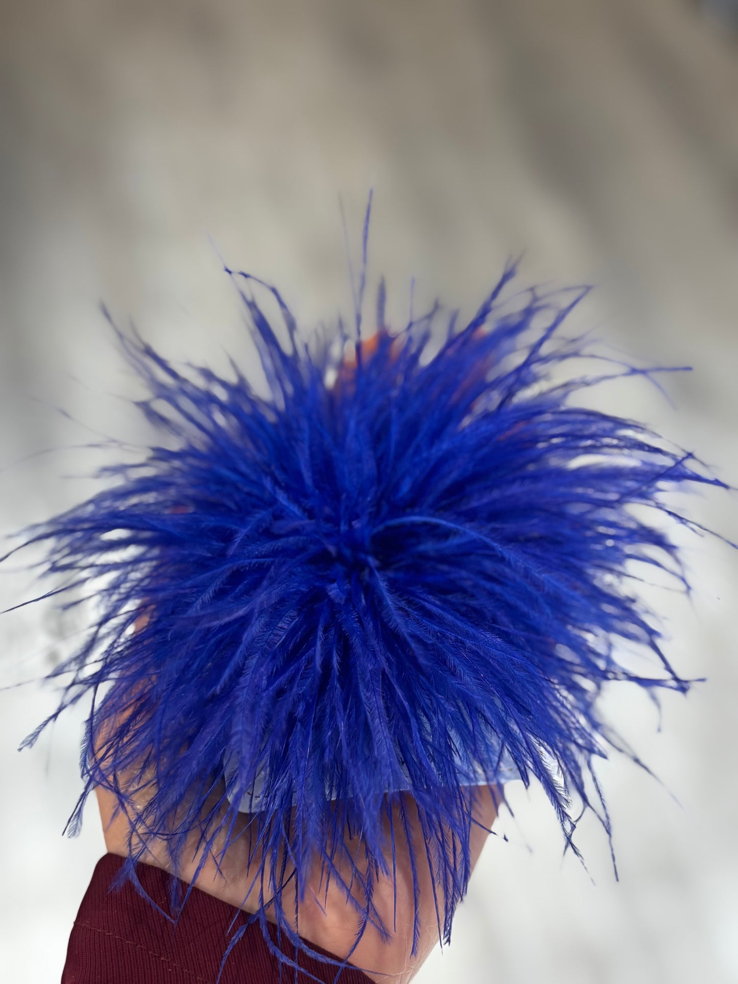 SPILLA PLUMA