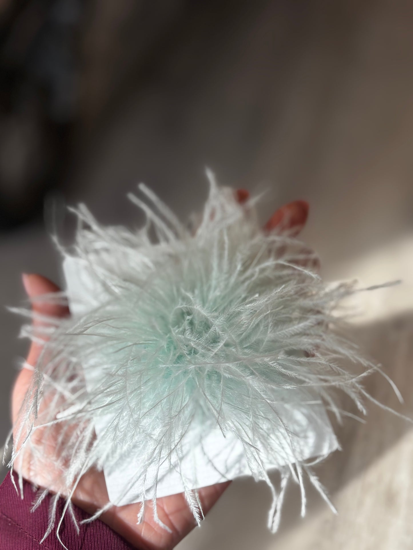 SPILLA PLUMA